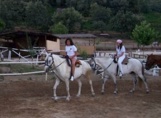  Learn to ride a horse. 